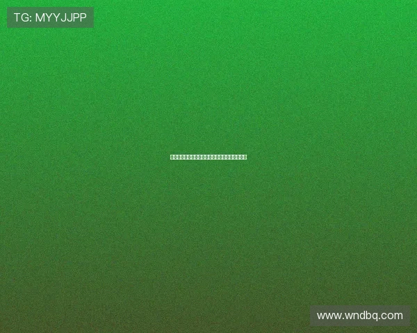 狗城：不止是毛茸茸的伙伴，更是我们心灵的港湾